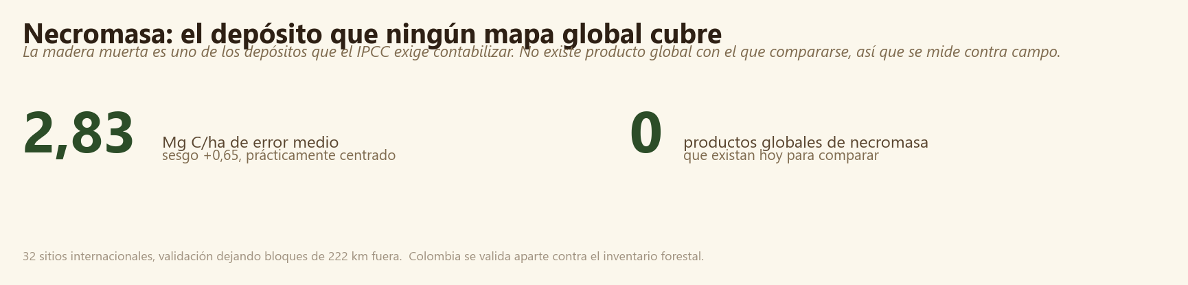 Necromasa: error medio de 2,83 Mg C por hectárea y ausencia de productos globales comparables